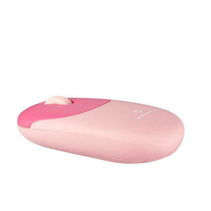 Volkano Paradigm Series Mouse and Keyboard combo - Mint | Pink