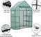 Sturdy PE Covered Walk-in Greenhouse with Flower Stand, Zippered Roll-Up Door, Heavy-Duty Steel Frame, Efficient Ventilation, and Easy Installation