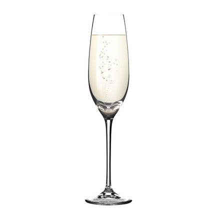 Tescomaa Champagne glasses Sommelier 210 ml, 6 pcs, Unified Shape | 210 ml | Highly Resistant | Dishwasher Safe |