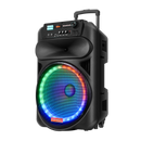 Portable Speaker with 2x6" Speakers, USB Input, Bluetooth Connectivity, LED Light Functionality, Remote Control, and 1 Wireless Microphone
