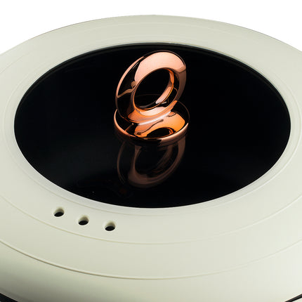 RAF Multi-Function Electric Pot | 1500W | 7L Capacity | 3 levels Speed | Easy To Clean