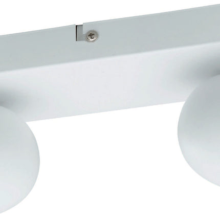 Modern 2-Light Adjustable Surface Mounted Ceiling Spotlight