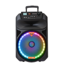 Portable Speaker with 2x6" Speakers, USB Input, Bluetooth Connectivity, LED Light Functionality, Remote Control, and 1 Wireless Microphone