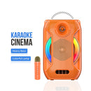 Portable Speaker | Bluetooth | USB | TF Card | FM Radio | Button Volume Control | Wireless Microphone