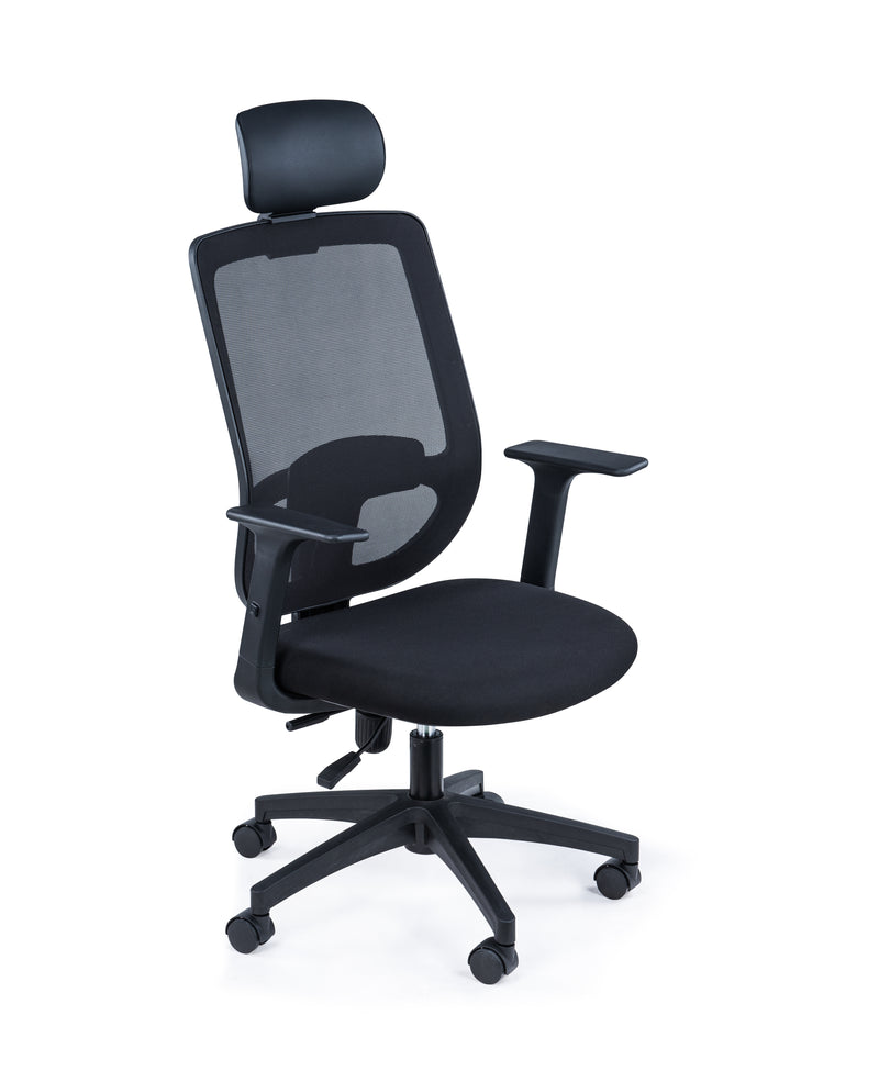 Prochimps Office Chair DCH-319A