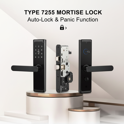 Mortise Lock Feature